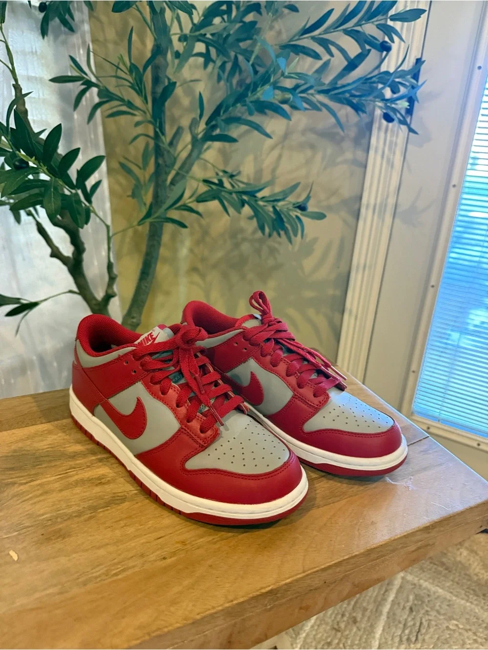 Nike Women’s Low-Top Sneakers in Red and Gray